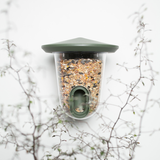 Singing Friend Feeder Bird Feedr Wild Green | SFF006