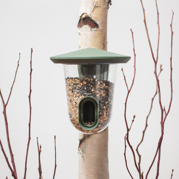 Singing Friend Feeder Bird Feedr Wild Green | SFF006