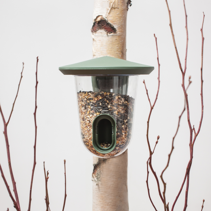 Singing Friend Feeder Bird Feedr Wild Green | SFF006