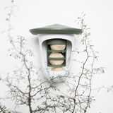 Singing Friend Multi Feedr Bird Feeder Wild Green & White | SFM004