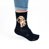 Wrendale Dark Blue Hopeful Labrador Socks | SOCK020