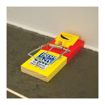 Big Cheese Fresh Baited Mouse Trap | STV194