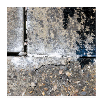 Defenders Ant & Insect Killer Powder 450g | STV950