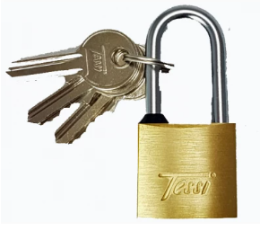 30mm Long Shackle Solid Brass Padlock | TE30L