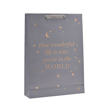 Bambino Baby Boy Gift Bag - Extra Large | BM292