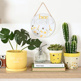 Country Living Set Of 2 Planters - Bees | CL1365