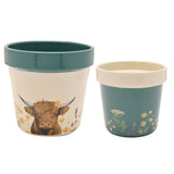 Country Living Set Of 2 Planters - Highland Cow | CL1366