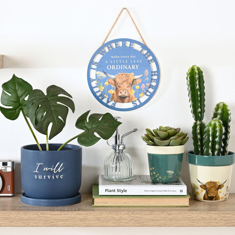 Country Living Set Of 2 Planters - Highland Cow | CL1366