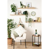 Country Living Set Of 2 Planters - Highland Cow | CL1366