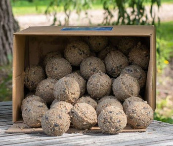 Peckish Natural Balance Fat Energy Balls Box of 50 | 60051245