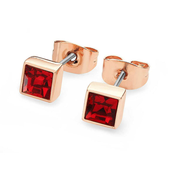 Rose Gold Square Birthstone Earrings Garnet Crystal-January│126268