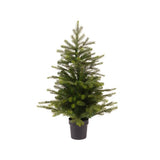 Indoor Grandis 45cm Mini Tree in Pot│680401