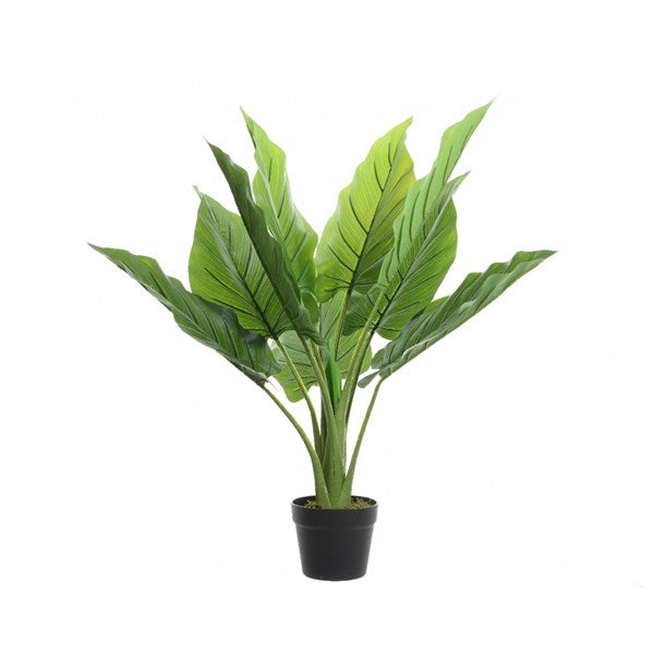 80cm Artificial Strelitzia in Plant Pot│800791