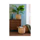 80cm Artificial Strelitzia in Plant Pot│800791