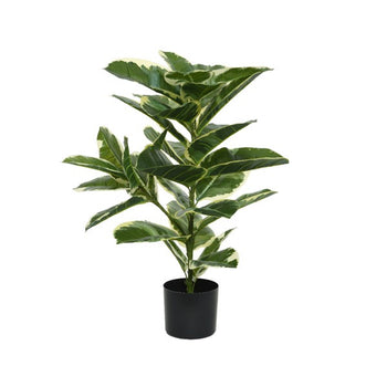 76cm Artificial Rubber in Plant Pot│801061