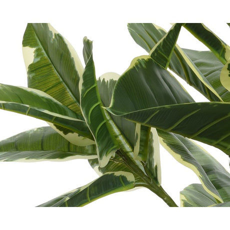 76cm Artificial Rubber in Plant Pot│801061