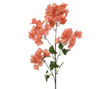 Bougainvillea Branch│801426