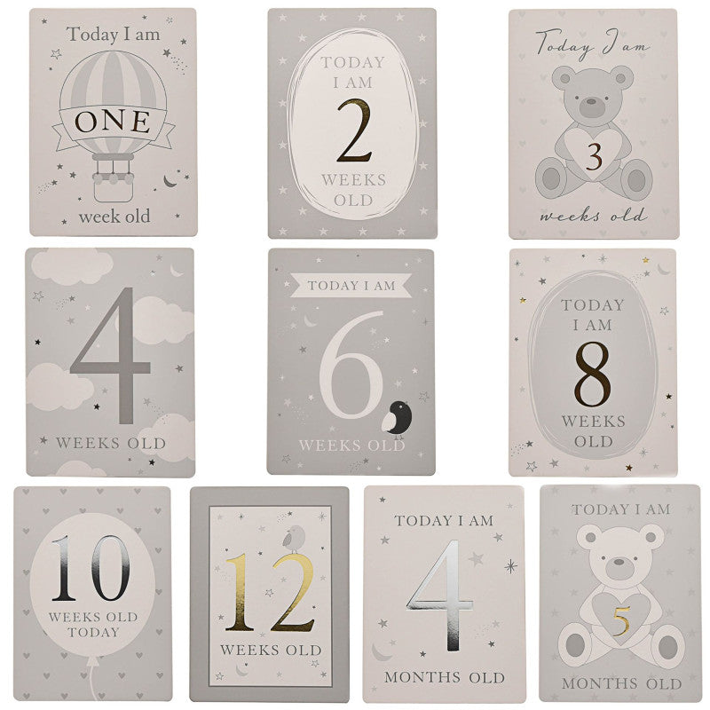 Bambino Milestones Cards & Photo Album│CG1582