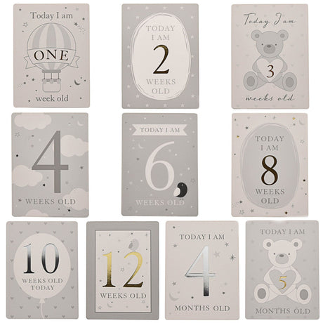 Bambino Milestones Cards & Photo Album│CG1582