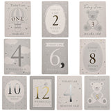 Bambino Milestones Cards & Photo Album│CG1582