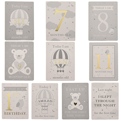 Bambino Milestones Cards & Photo Album│CG1582