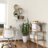 Colourtrend Contemporary Alabaster White