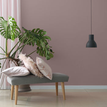 Colourtrend Contemporary Mallow Stem