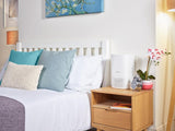 Dimplex 4 Stage Air Purifier│DXBRVAP4