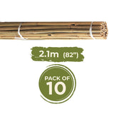 Grass Roots Pre-Packed Bamboo Canes Natural | GRT968246