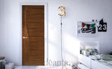 HP24CT Sleek Ultra Modern Walnut Door