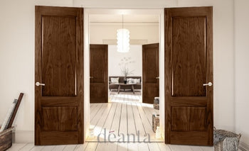 NM3 Two Panel Minimalistic Walnut Door