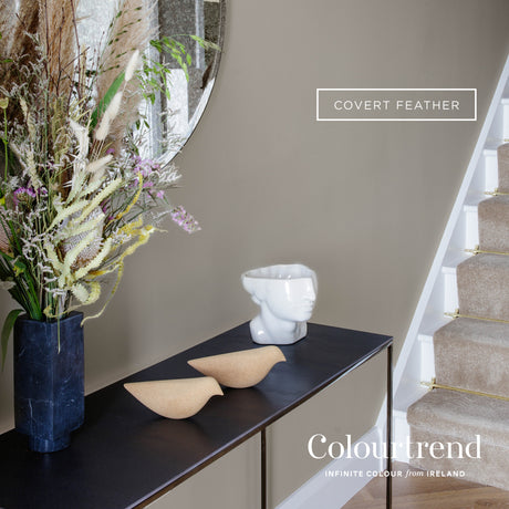 Colourtrend Contemporary Covert Feather