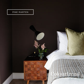 Colourtrend Contemporary Pine Marten