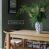 Colourtrend Contemporary Standing Tall