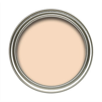 Dulux Vinyl Soft Sheen Soft Peach