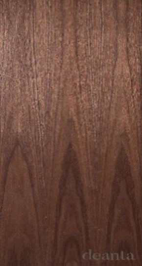 Flush Walnut Fire Door