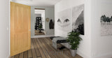 HP23 Period Style Shaker Door